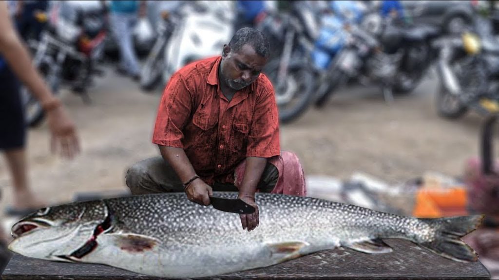 Live Fish Cutting Skills 2020 | Fish market | Fisherman