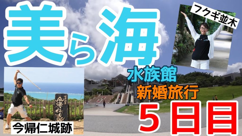 【５日目】美ら海水族館とその周辺を観光！【新婚旅行】