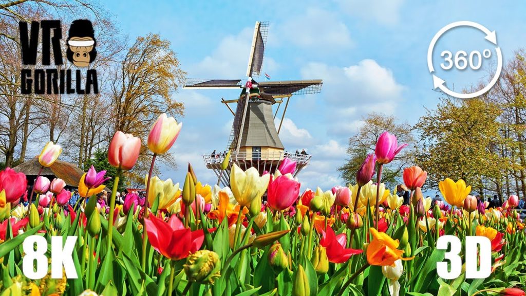 Keukenhof Flower 'Garden of Europe' Guided Tour in 3D (8K 360 VR Video) Keukenhof Flower 'Garden of Europe' Guided Tour in 3D (8K 360 VR Video)