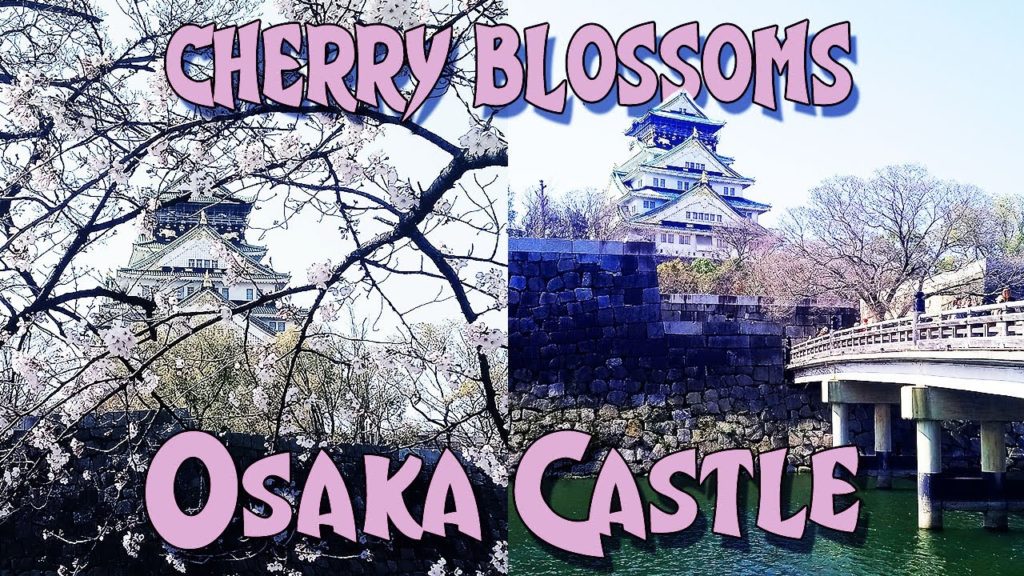Cherry Blossoms at Osaka Castle | Sakura and Hanami Parties