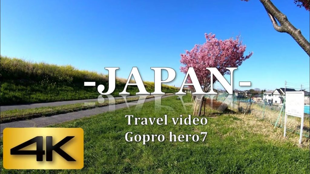 JAPAN TRAVEL VIDEO |Little-known cherry blossom spot in Chiba Japan(矢川原渡し桜広場)|Gopro hero7 4K 60fps