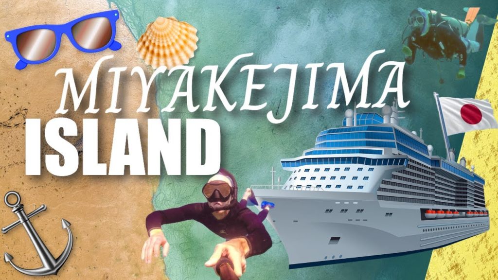 DOLPHIN MIYAKEJIMA JAPAN: - 御蔵島でイルカと泳いできました！dolphin swim mikurajima island Japan- best dolphin swim