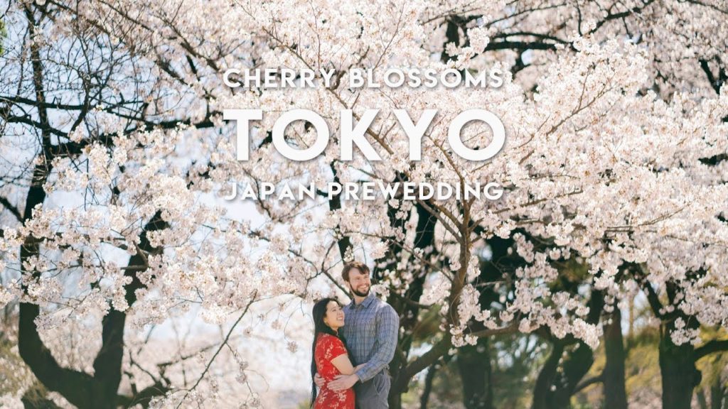 Cinematic engagement(prewedding) movie with cherry blossom Tokyo /Sony α7 III, 85mm F1.8 and 24mm