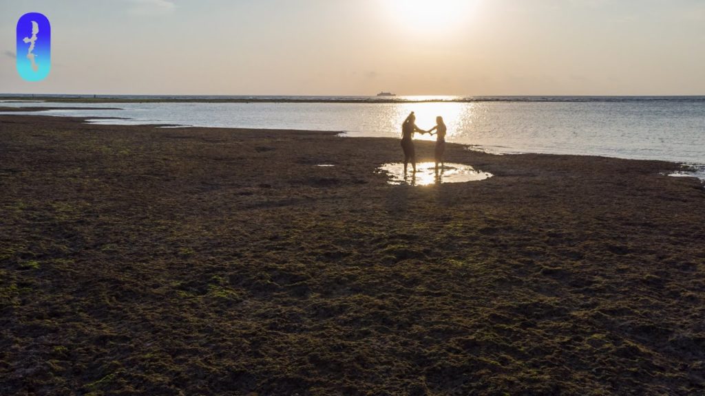 Okinawa Beach Highlight #2