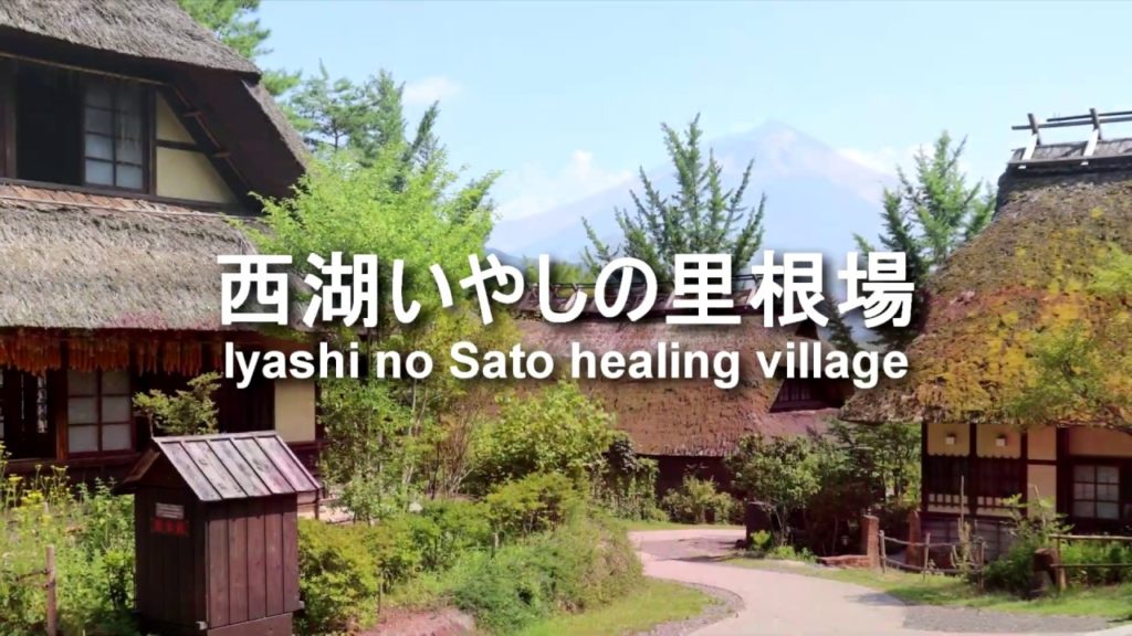 The Scenic Spots of Mt.Fuji and Lake Kawaguchiko 1-Day Bus Tour・ 富士山絶景日帰りツアー