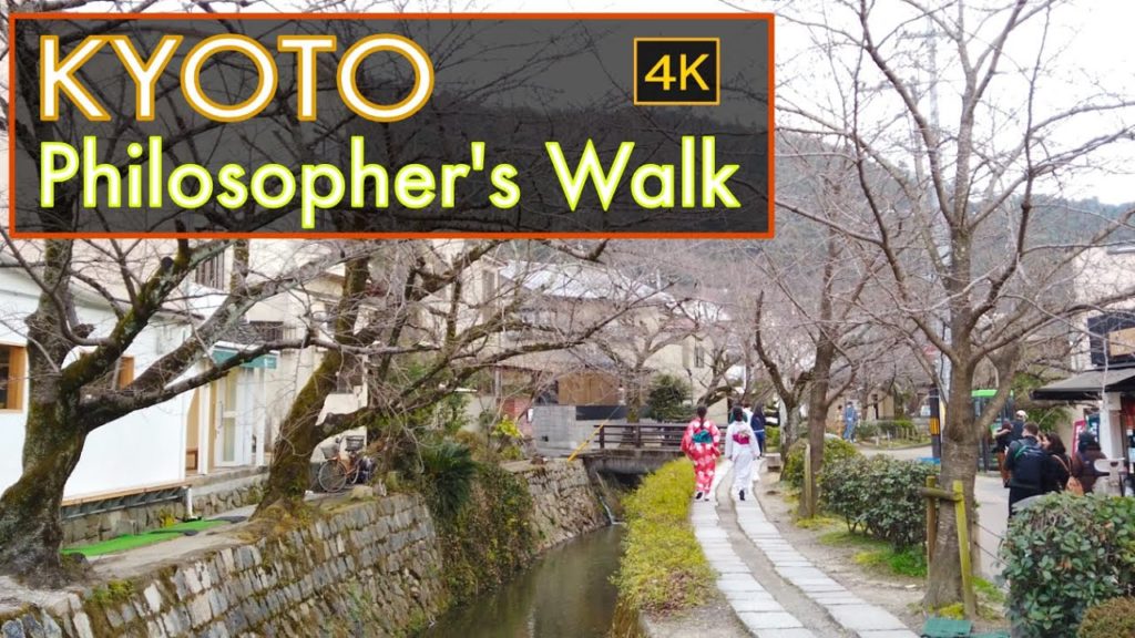 【4K Japan Trip】Kyoto - Philosopher's Walk  / 京都  哲学の道