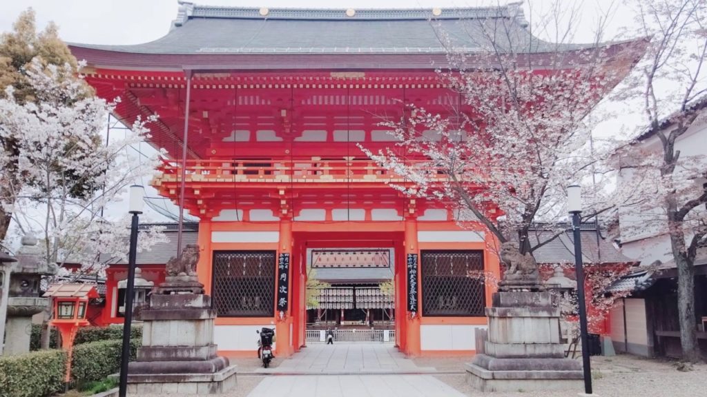 Flores de cerezo llorón en el parque Maruyama en Gion, Kioto