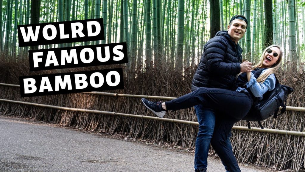 ARASHIYAMA BAMBOO FOREST KYOTO || Japan Travel Vlog