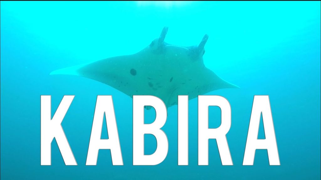 Plongées à Kabira, à Okinawa | VLOG JAPON