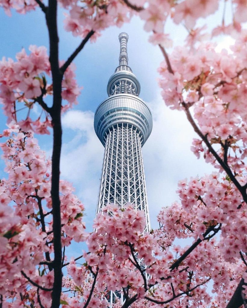 Visit Japan: Tokyo Skytree is not only the tallest tower in Japan, it’s the tallest tower in … Tokyo Skytree is not only the tallest tower in Japan, it's the tallest tower in ...