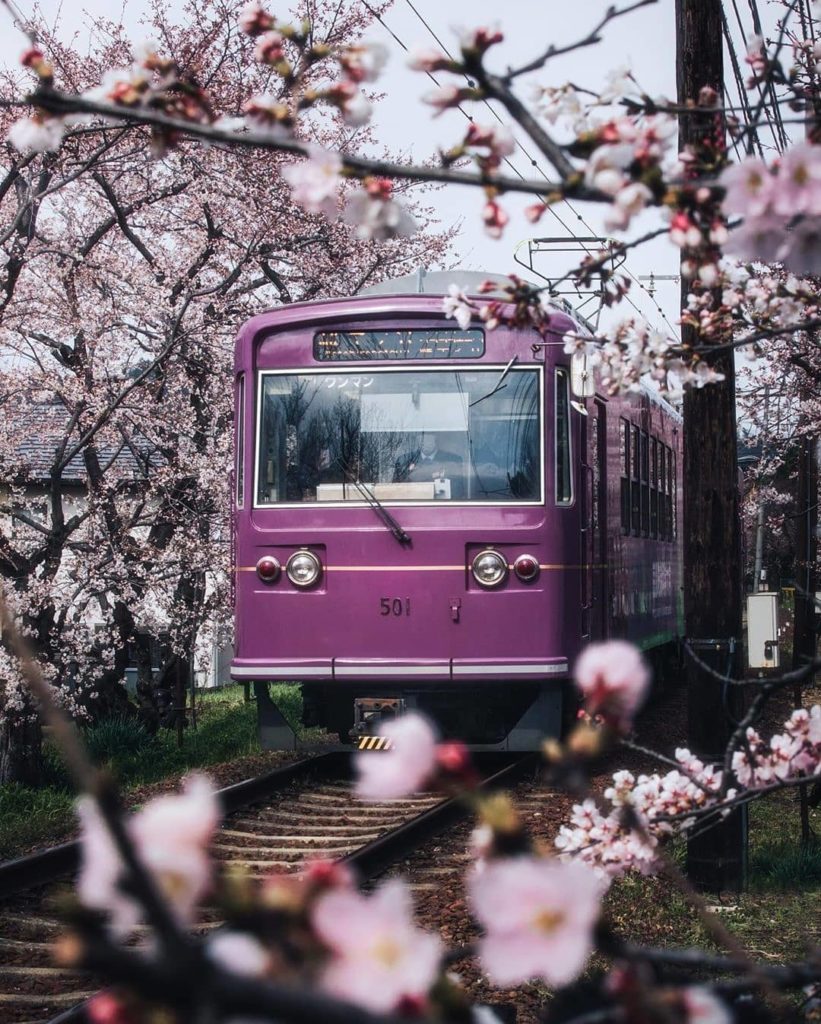 Visit Japan: Hop on board and discover the beauty of north-western Kyoto! The Keifuku Randen… Hop on board and discover the beauty of north-western Kyoto! The Keifuku Randen...