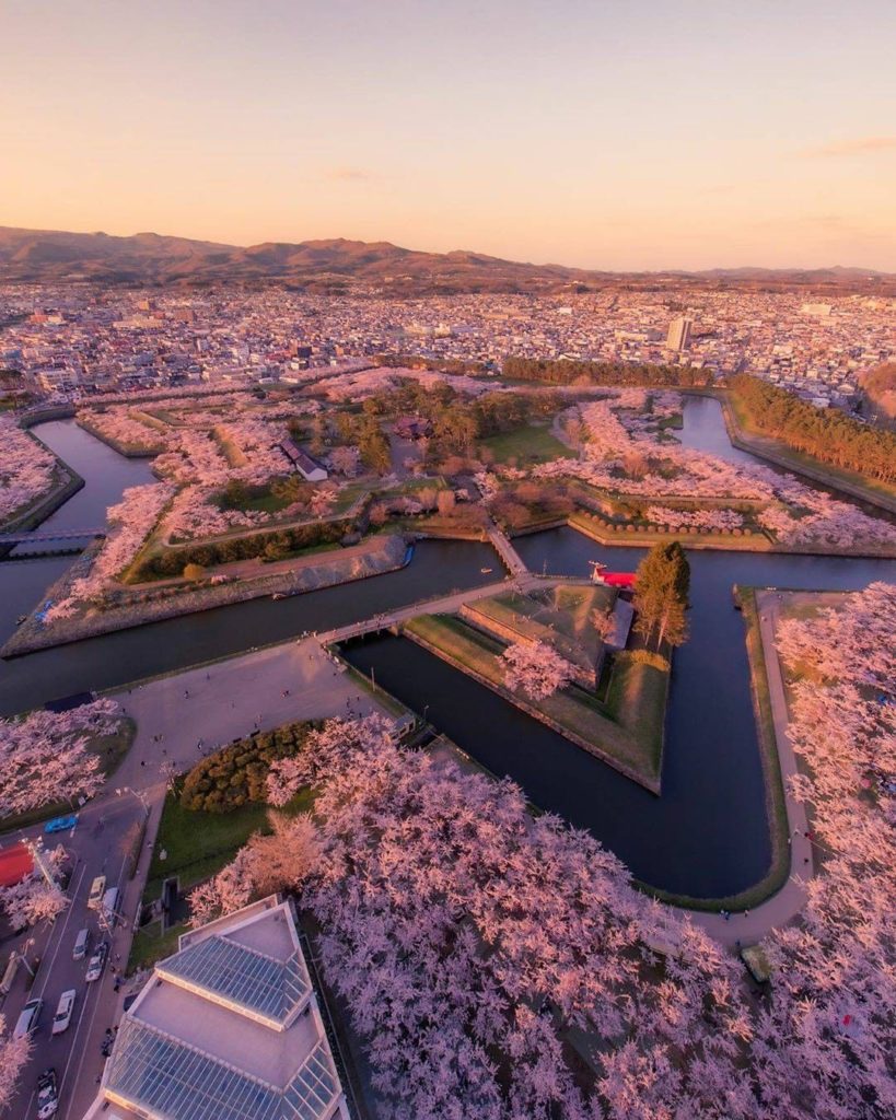 Sakura season leaves stars in our eyes, and there's actually a place in Japan wh...