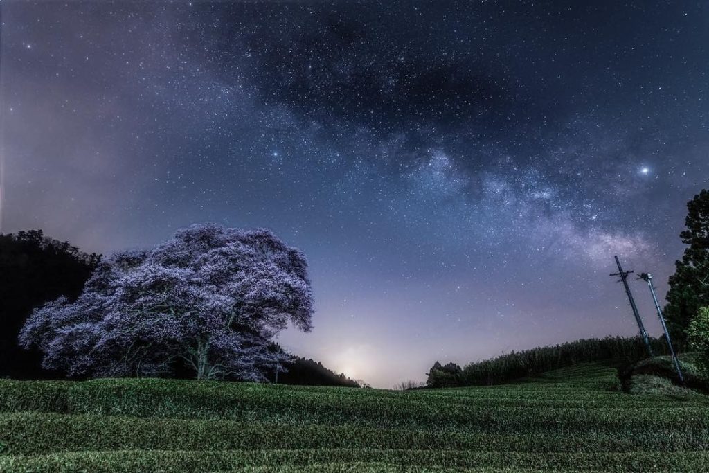 Visit Japan: Standing alone, at a distance from others, can also create something beautiful a… Standing alone, at a distance from others, can also create something beautiful a...