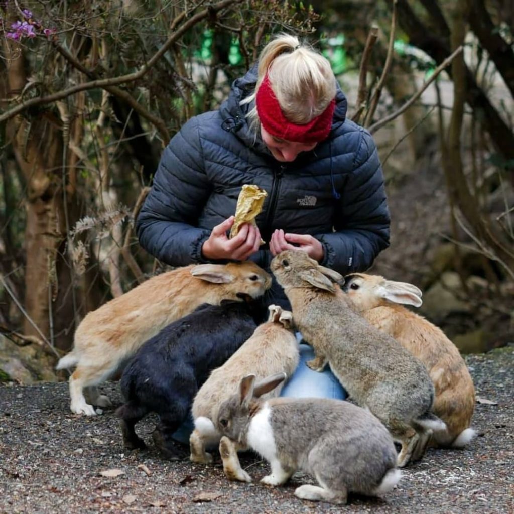 Happy Easter to those of you who are celebrating today. These little bunnies ar...