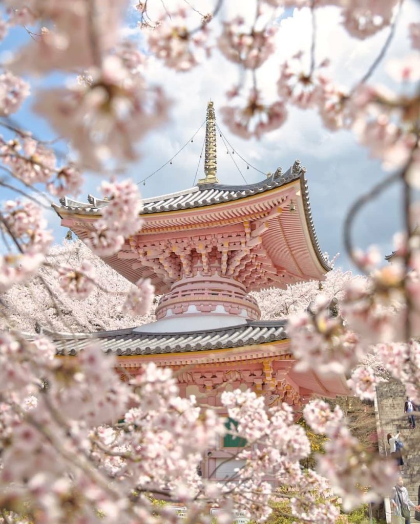 Pretty in pink 
: @nao__photogra
-----⁣⠀
Tsubosakadera Temple, #Nara
.⁣⠀
.⁣⠀
.⁣⠀...