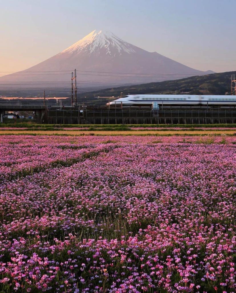 Name 3 things you love about Japan using emojis only! We'll go first: .  Beautif...