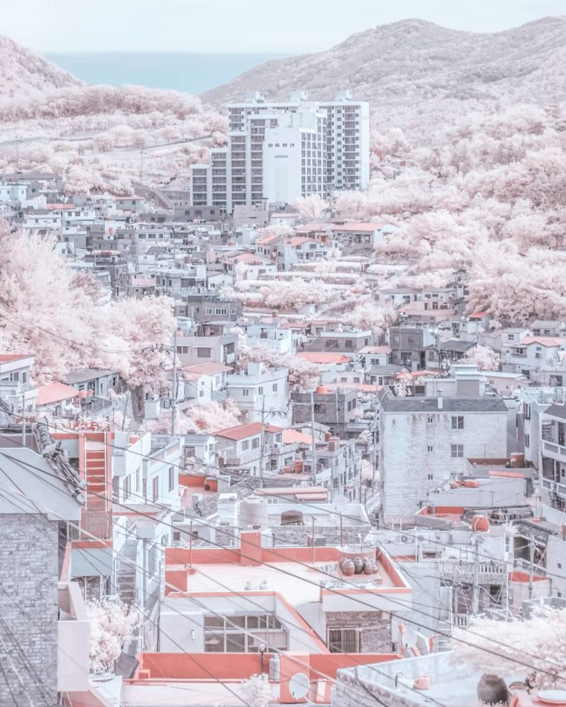 Korea is so addictive  #부산 #한국 #korea #Busan #대한민국 #...