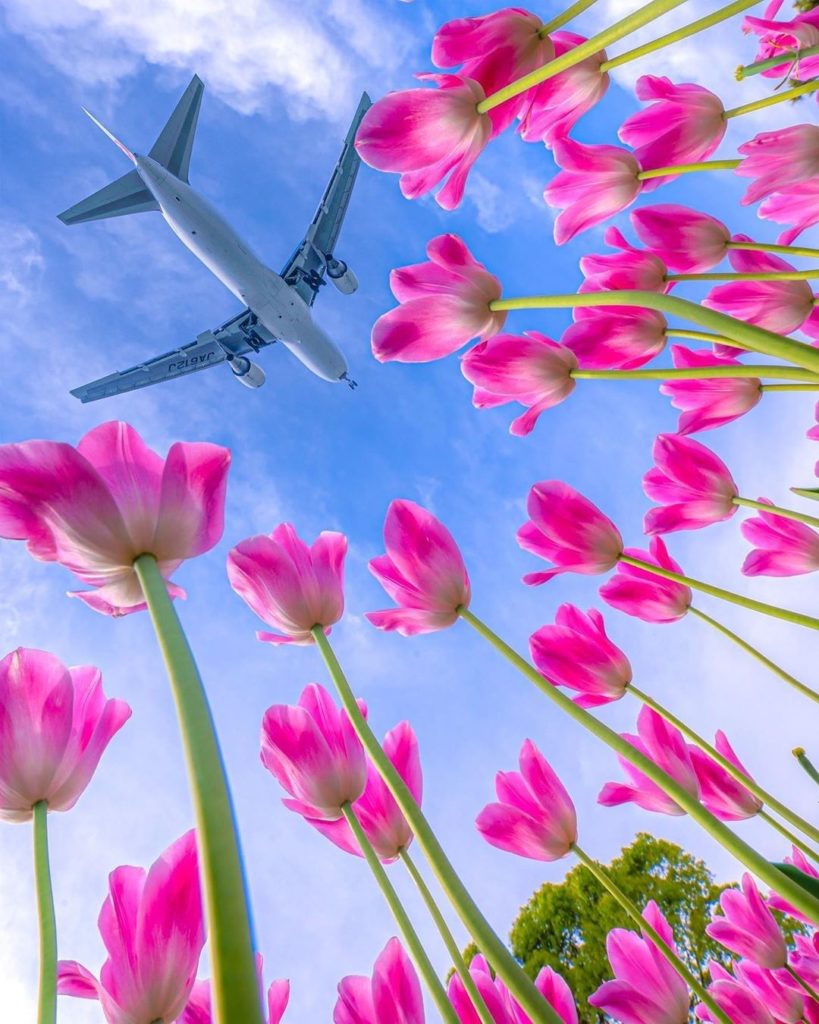 Japan Airline: .
Do you have a flying moment you’d like to freeze in time?
Let us know in the c… .
Do you have a flying moment you'd like to freeze in time?
Let us know in the c...