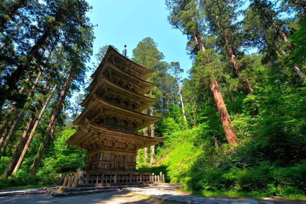 Transport yourself to the sacred cedar forest of the Dewa Sanzan and picture wal...