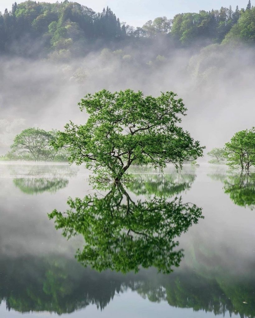 Visit Japan: Doesn’t it look surreal? This is a view of Shirakawa lake in Yamagata Prefecture… Doesn't it look surreal? This is a view of Shirakawa lake in Yamagata Prefecture...
