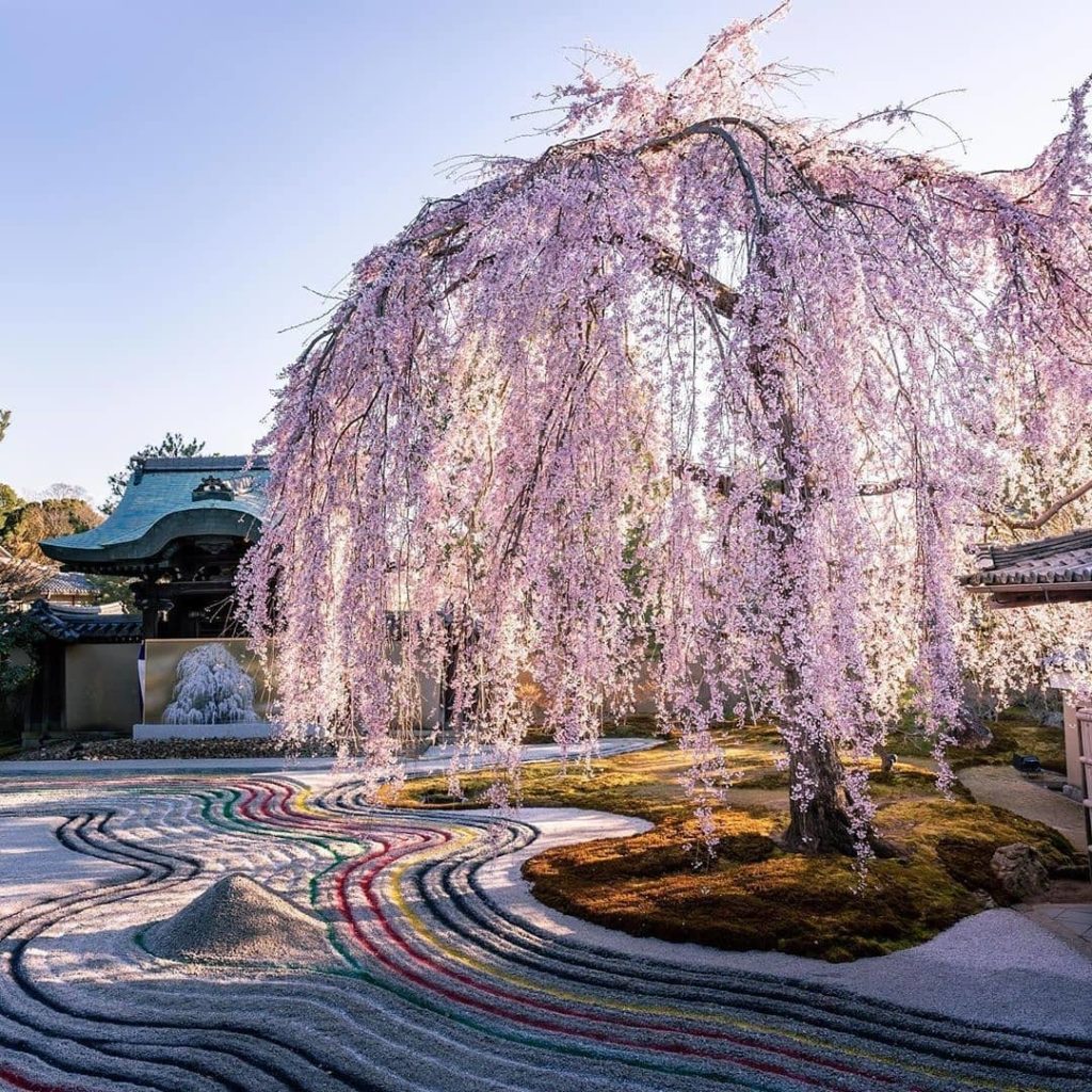 Visit Japan: How’s the serenity? Japan is home to some of the most sublime and tranquil garde… How's the serenity? Japan is home to some of the most sublime and tranquil garde...