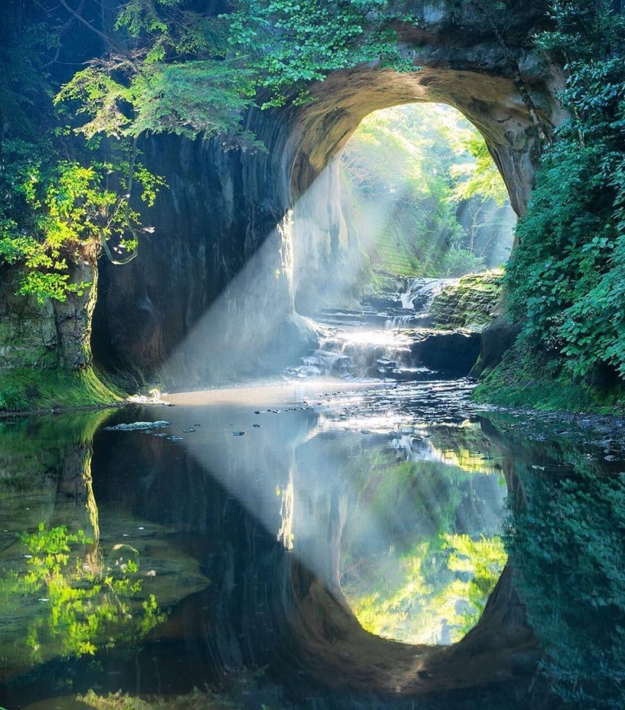 .
Wander into a surreal, dreamlike world.
You might a heart shape created by the...