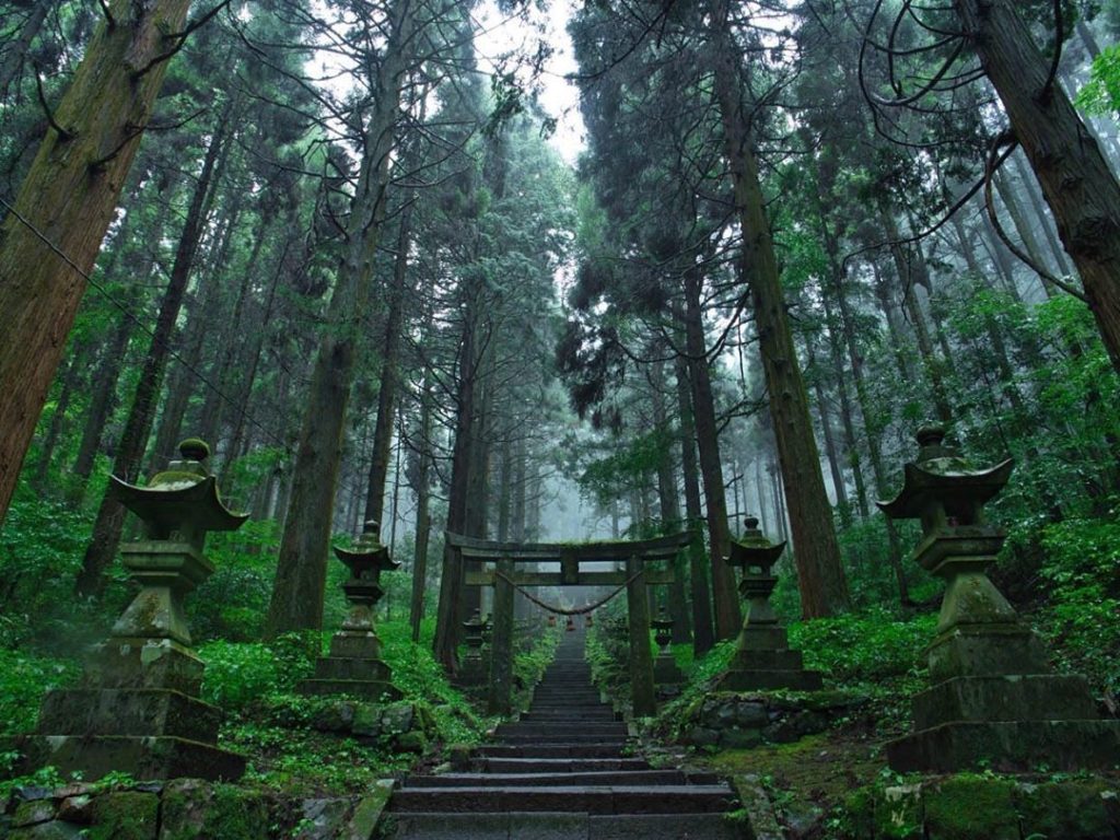 Visit Japan: Kamishikimi Kumanoimasu Shrine attracts visitors from all over Japan for its div… Kamishikimi Kumanoimasu Shrine attracts visitors from all over Japan for its div...