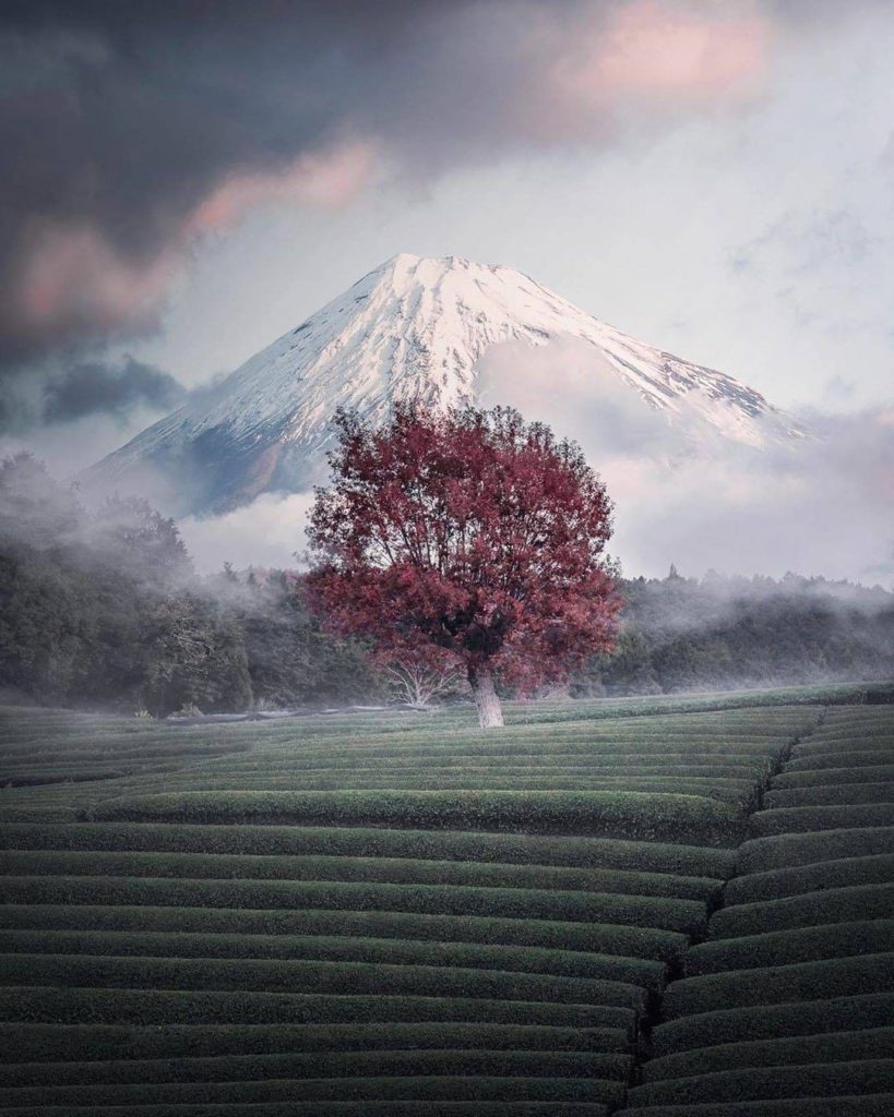 Mt. Fuji will always, always amaze us, no matter how many times we've seen its b...