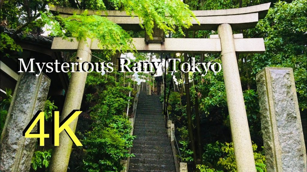 【4K】Mysterious Rainy Walk in Hidden Tokyo Temple