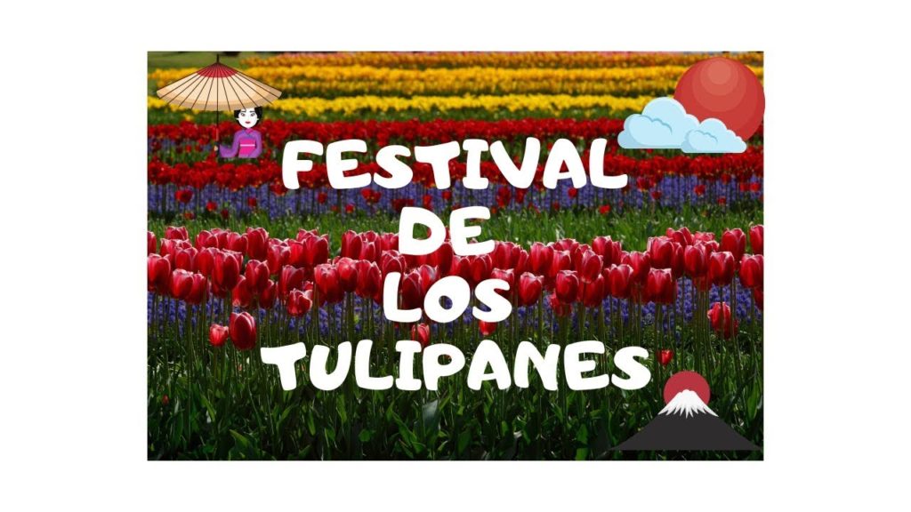 FESTIVAL DE TULIPANES JAPON 🌷- [  木曽三川公園 ]
