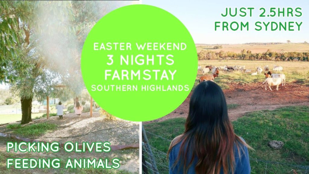 3 Nights on a Farm - 2.5 hours from Sydney - Australian Farmstay ♥ ♥ I Fed an Alpaca!