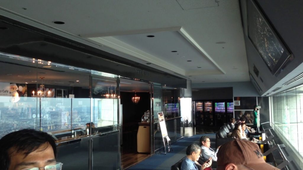 The View from Yokohama Landmark Tower Sky Garden