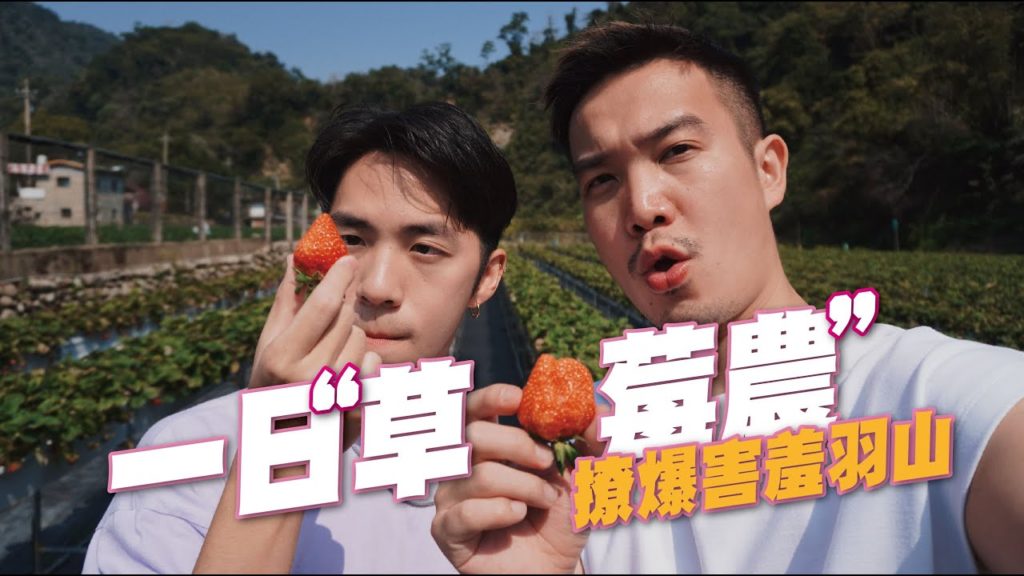 一日草莓農🍓! 撩爆好友羽山 / 大湖草莓園超好玩