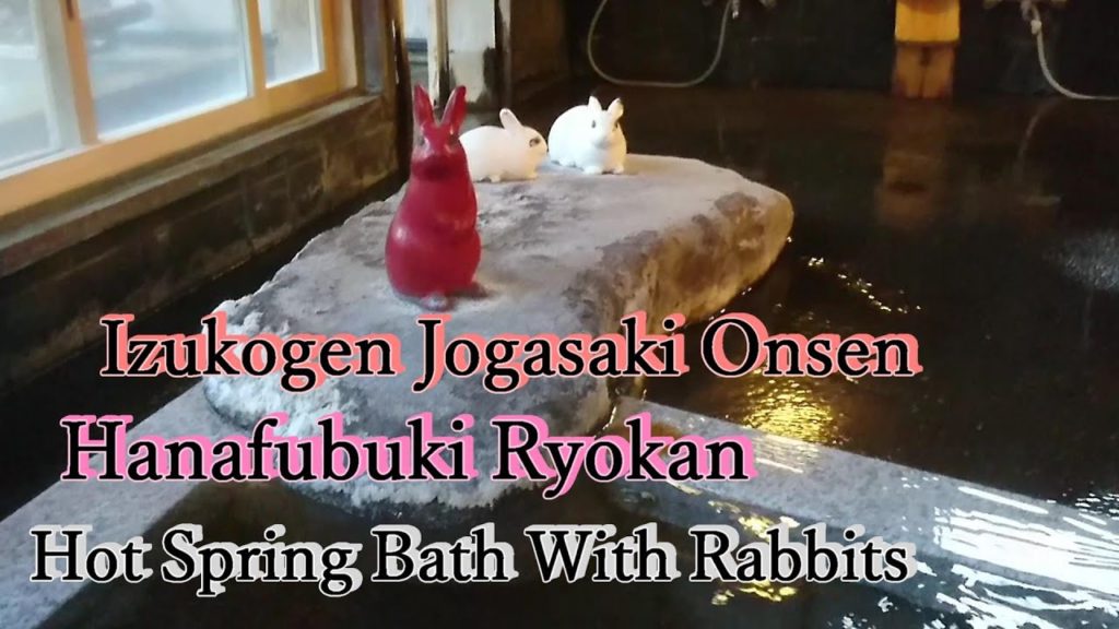 Izukogen Jogasaki Onsen Hanafubuki Ryokan Shizuoka Japan – Hot Spring Bath With Rabbits Izukogen Jogasaki Onsen Hanafubuki Ryokan Shizuoka Japan - Hot Spring Bath With Rabbits