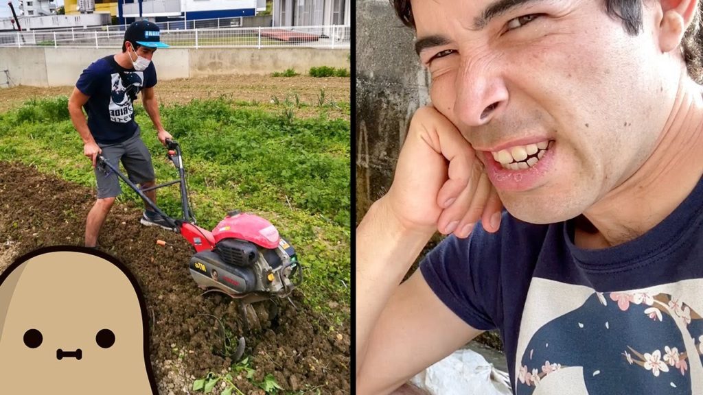 Potato Farming In Okinawa, Japan (Short & Simple Vlog)