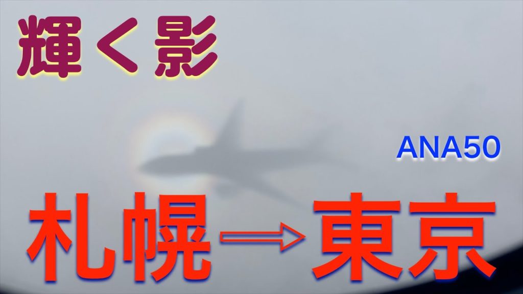 《輝く影と飛ぶ》ANA50 プレミアムクラス 新千歳発羽田行
