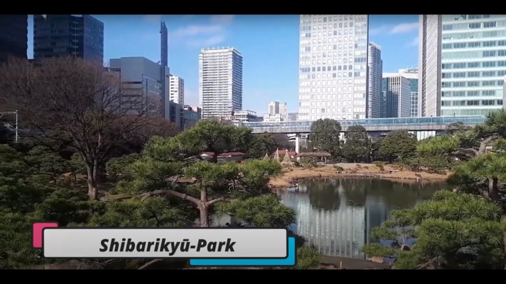 Tokyo Vacation Trip 2020