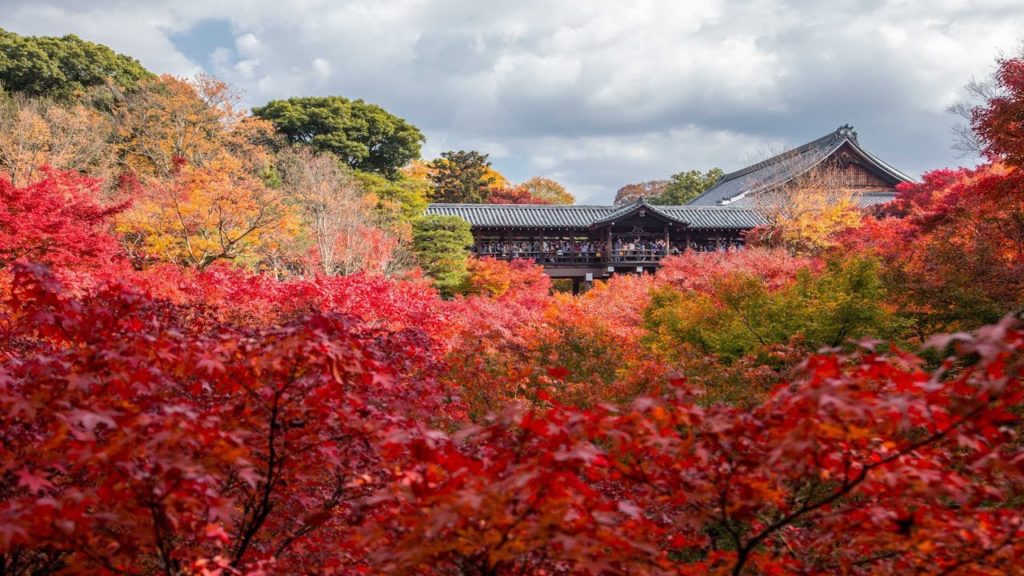 JG☆☆☆☆☆  HDR 京都 東福寺の紅葉(国宝,名勝) Kyoto,Tofukuji in Autumn(National Treasure,Scenic Beauty)