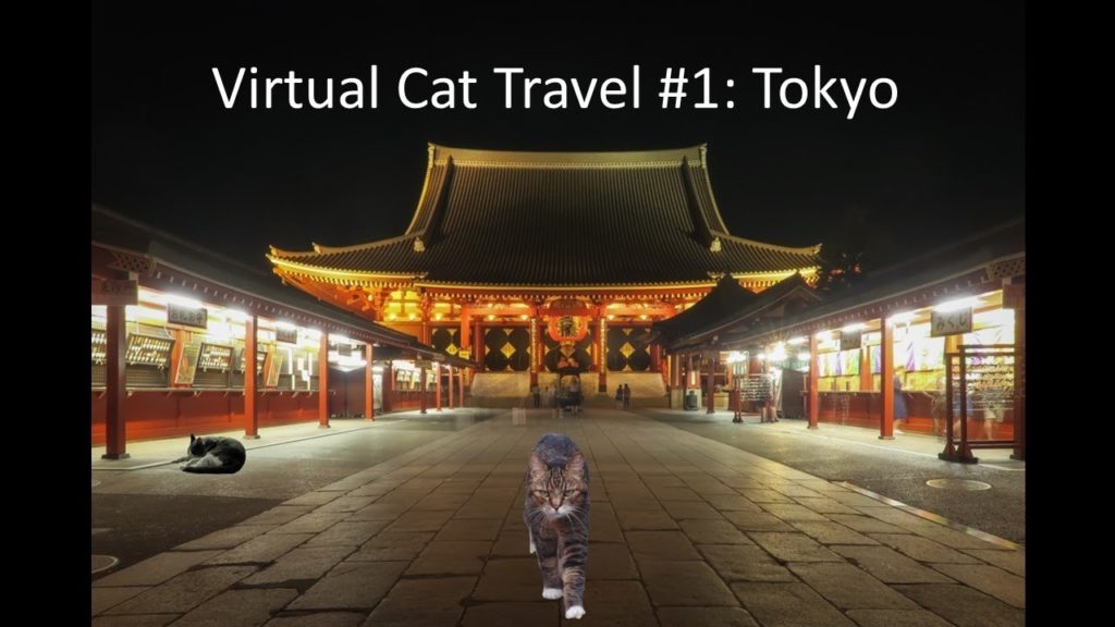 Virtual Cat Travel #1: Tokyo