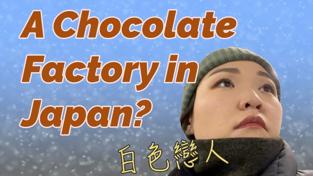 Shiroi Koibito Park | Dining Alone in an IZAKAYA [Vlog 5]