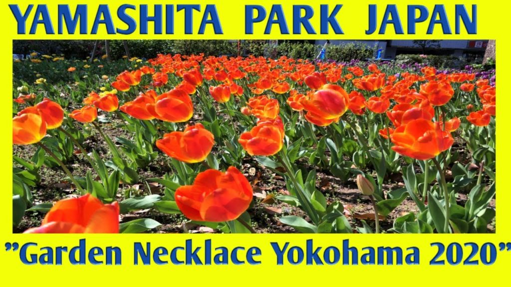 Beautiful Yamashita Park | Yokohama Japan | Garden Necklace 2020