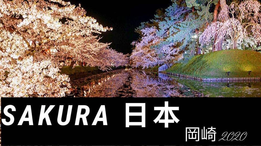 2020 okazaki black with sakura ,japan (岡崎夜桜まつり令和2年)