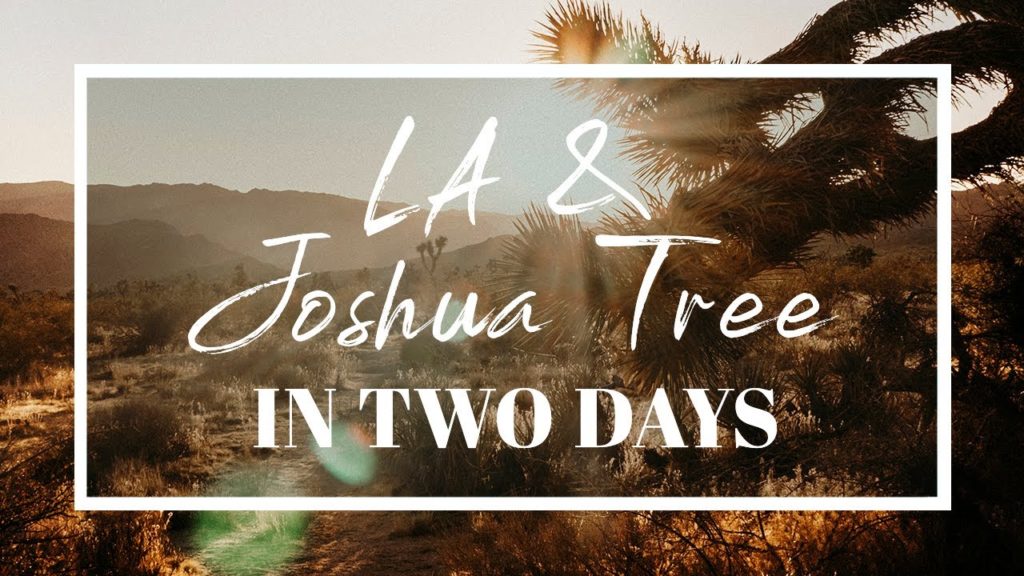 LOS ANGELES and JOSHUA TREE in Two Days // Travel Vlog! LOS ANGELES and JOSHUA TREE in Two Days // Travel Vlog!