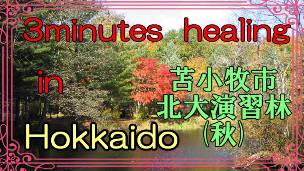 北海道　癒しの小空間（苫小牧市・北大演習林②）3minutes  healing  in  Hokkaido