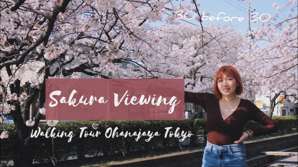 Sakura Viewing | Walking Tour Ohanajaya Tokyo Sakura Viewing | Walking Tour Ohanajaya Tokyo