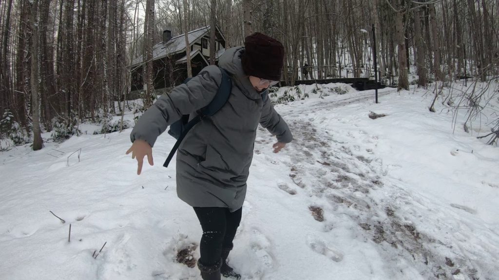 Hokkaido - Day 4-40 / 2019 Nov