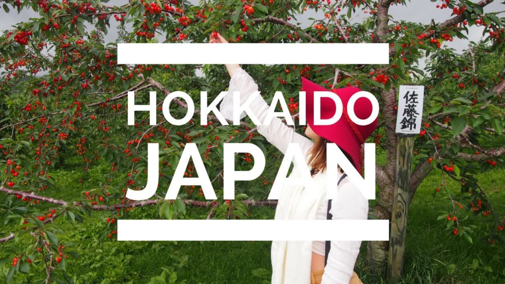 Follow Me To Hokkaido, Japan | zoeypky