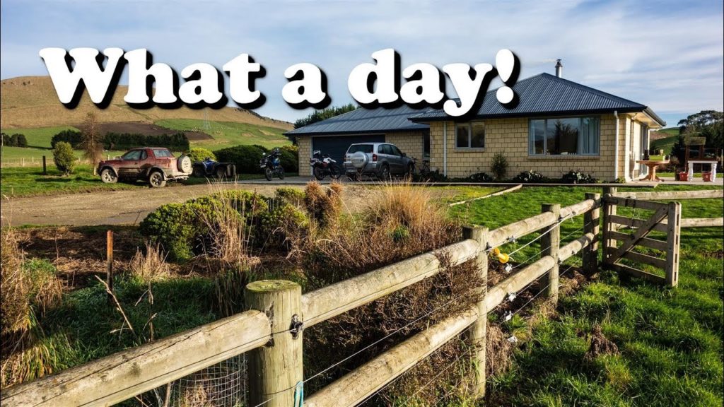 Yamaha XT660Z around New Zealand - Great day in a dairy farm (Ep 2)