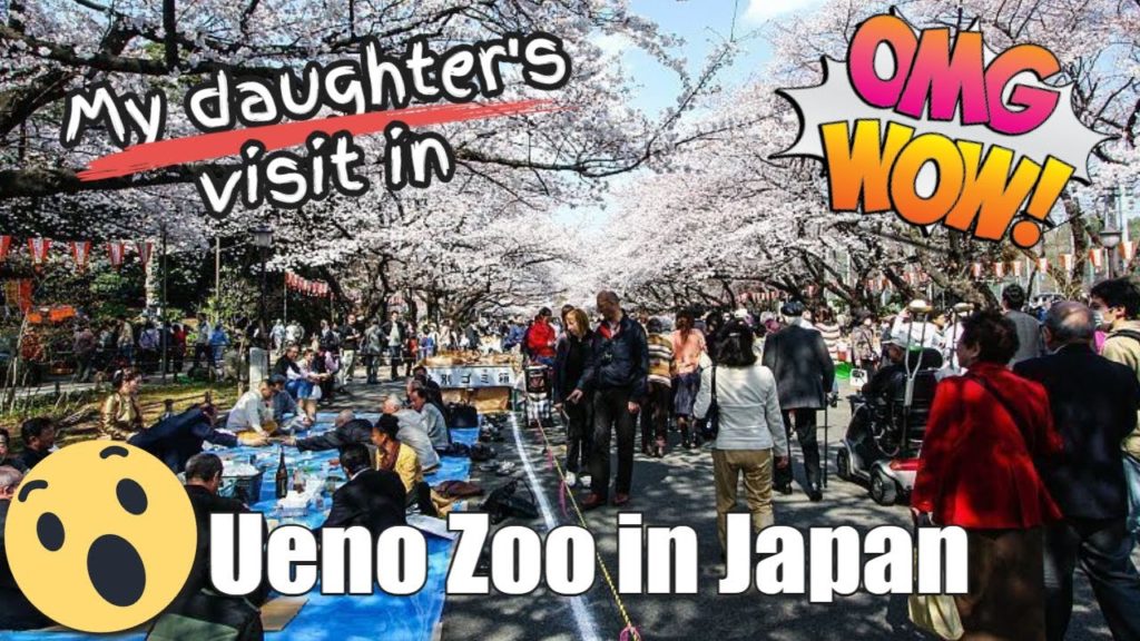 Ueno Zoo in Japan Tour