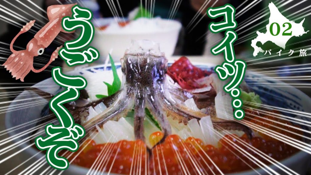 【北海道ツーリング】活イカ踊り丼！函館の朝を観光してきた。 with W800 STREET【#02】